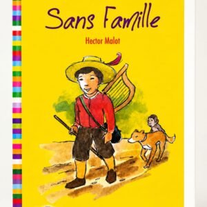sans famille junior